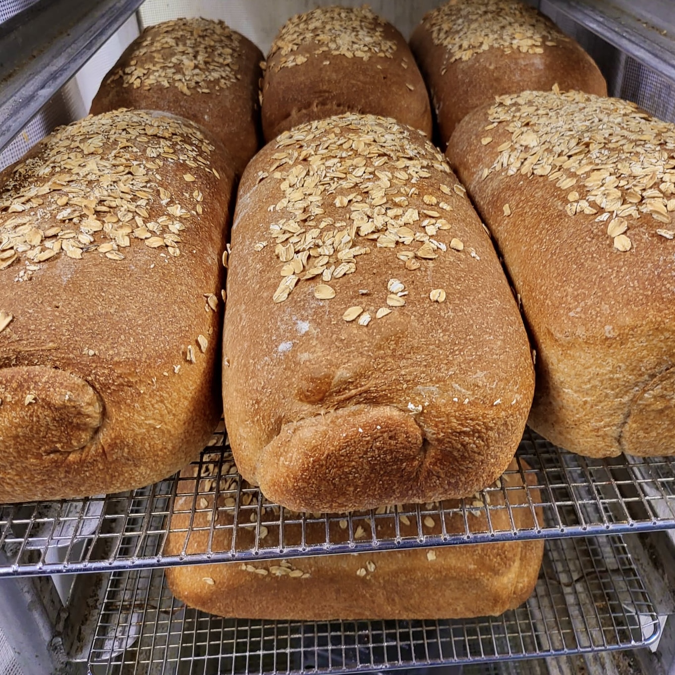 Wheat Bread